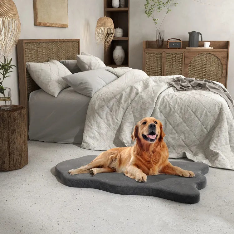 Comfort Dog Bed